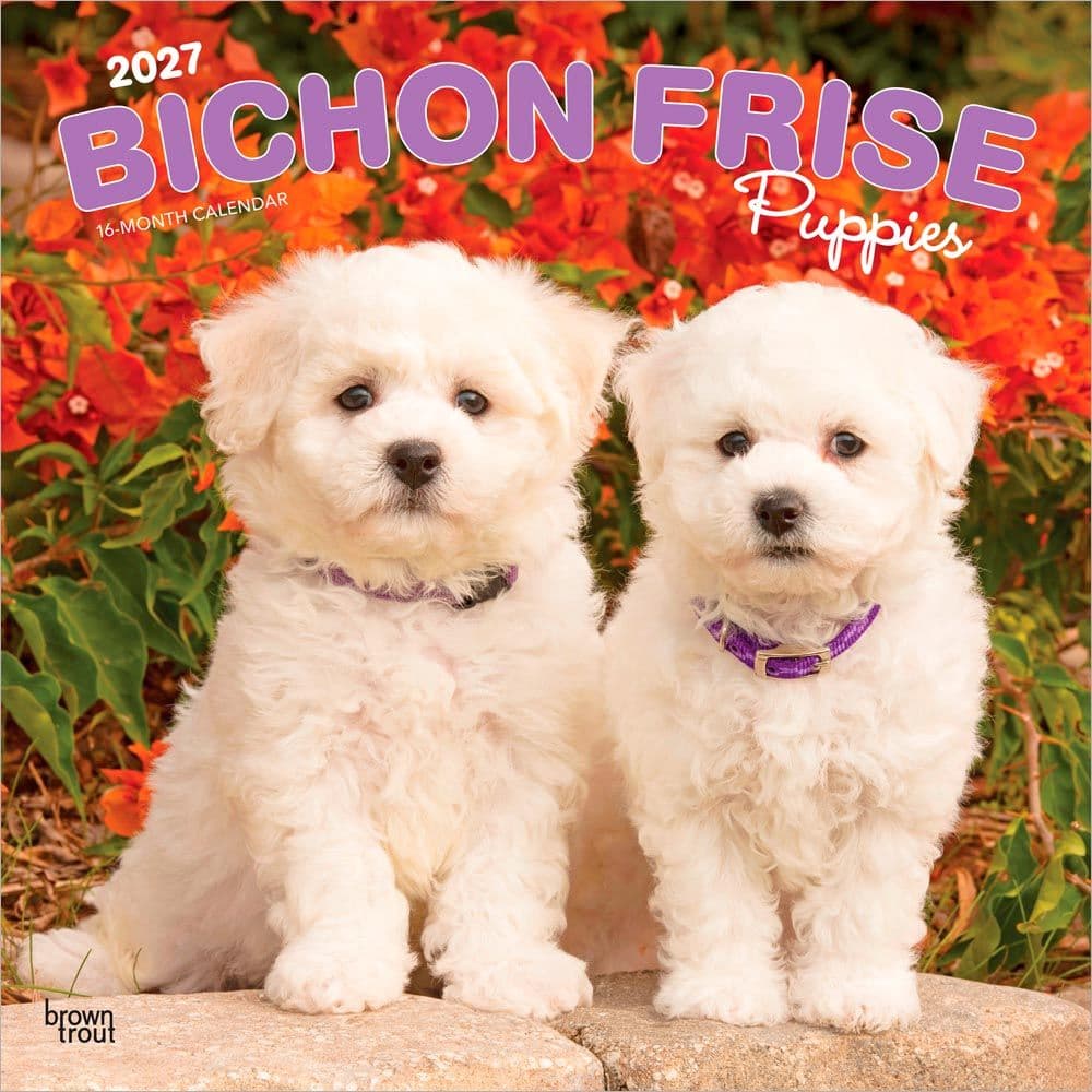 Bichon Frise Puppies 2027 Wall Calendar Main Product Image