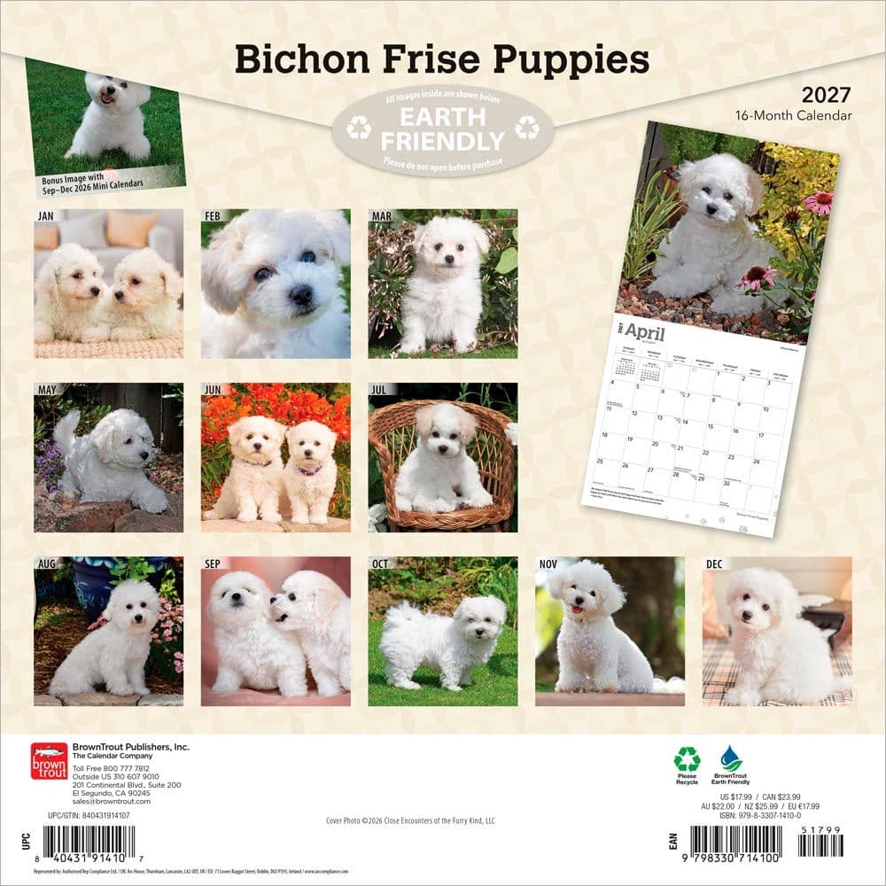 Bichon Frise Puppies 2027 Wall Calendar First Alternate Image