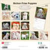image Bichon Frise Puppies 2027 Wall Calendar First Alternate Image