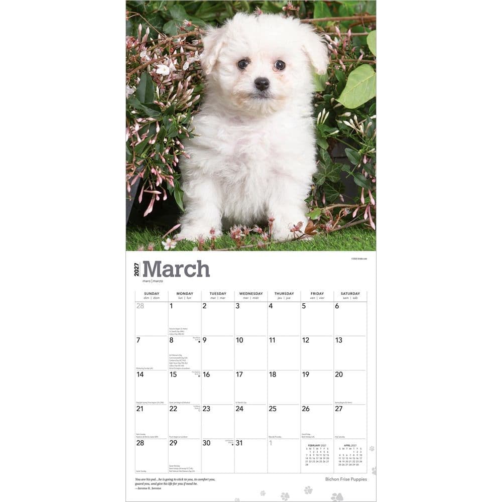 Bichon Frise Puppies 2027 Wall Calendar Second Alternate Image