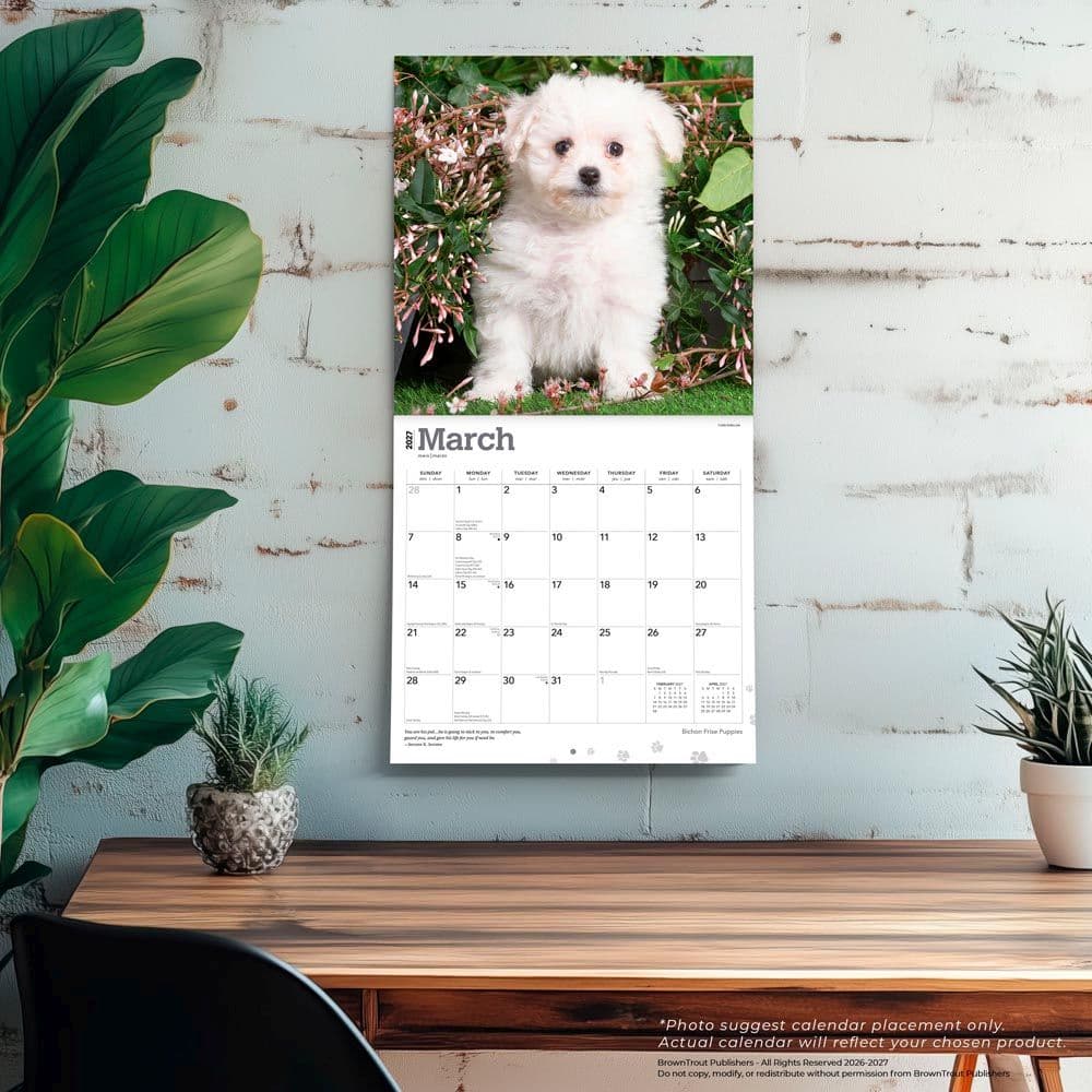 Bichon Frise Puppies 2027 Wall Calendar Fourth Alternate Image