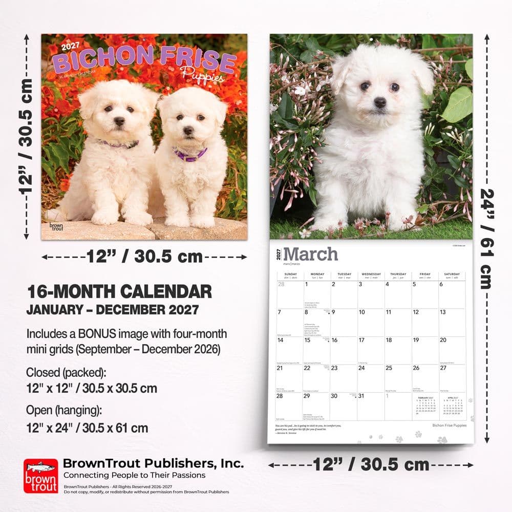 Bichon Frise Puppies 2027 Wall Calendar Sixth Alternate Image