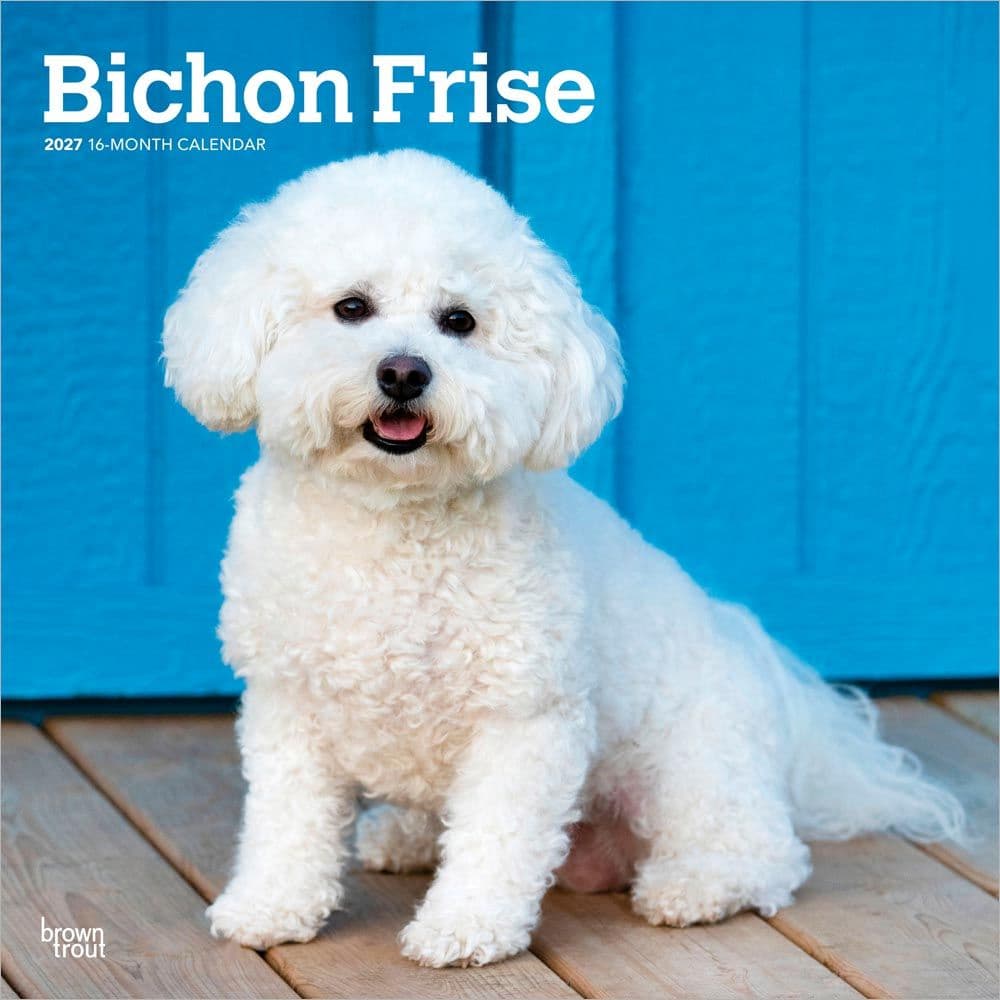 Bichon Frise 2027 Wall Calendar Main Product Image