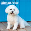 image Bichon Frise 2027 Wall Calendar Main Product Image