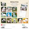 image Bichon Frise 2027 Wall Calendar First Alternate Image