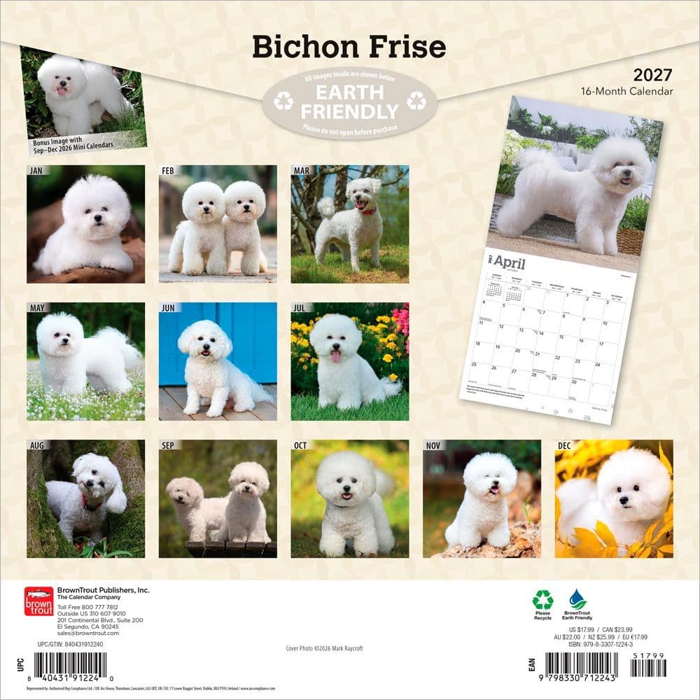 Bichon Frise 2027 Wall Calendar First Alternate Image