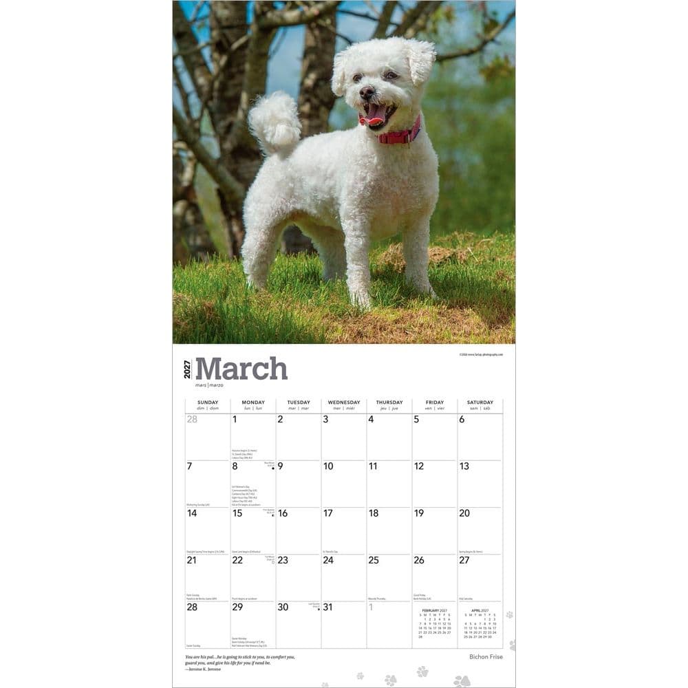 Bichon Frise 2027 Wall Calendar Second Alternate Image