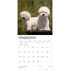 image Bichon Frise 2027 Wall Calendar Third Alternate Image