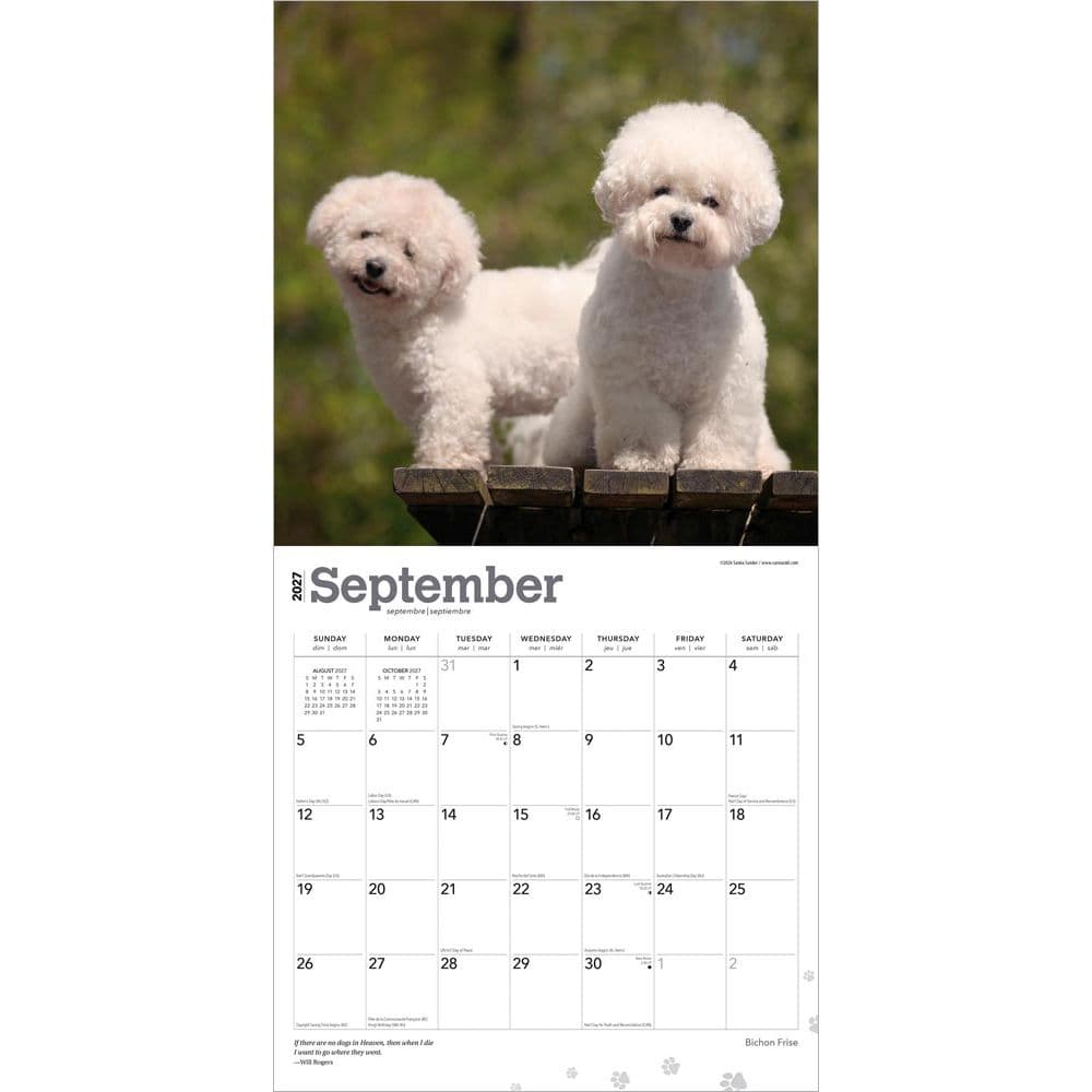 Bichon Frise 2027 Wall Calendar Third Alternate Image