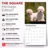 image Bichon Frise 2027 Wall Calendar Fifth Alternate Image