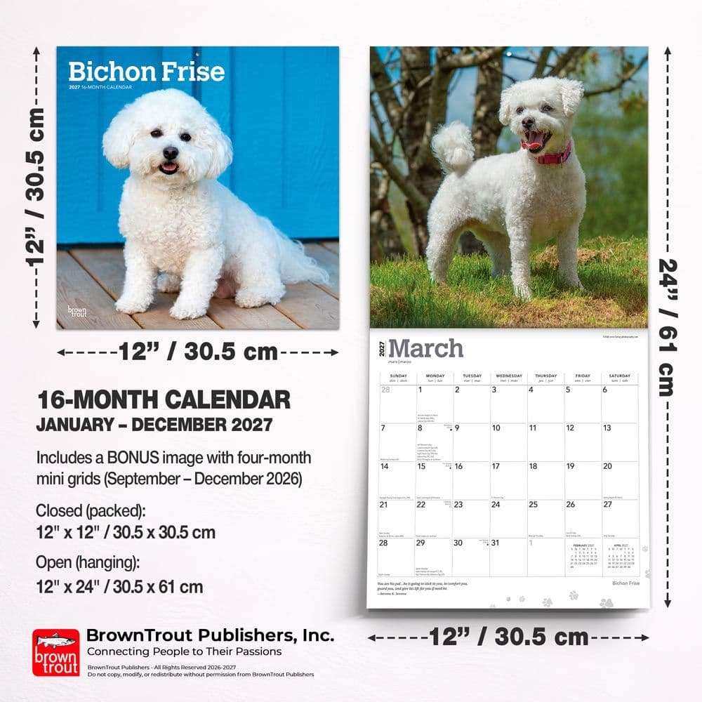 Bichon Frise 2027 Wall Calendar Sixth Alternate Image