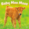image Baby Moo Moos 2027 Wall Calendar Main Product Image