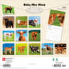 image Baby Moo Moos 2027 Wall Calendar First Alternate Image