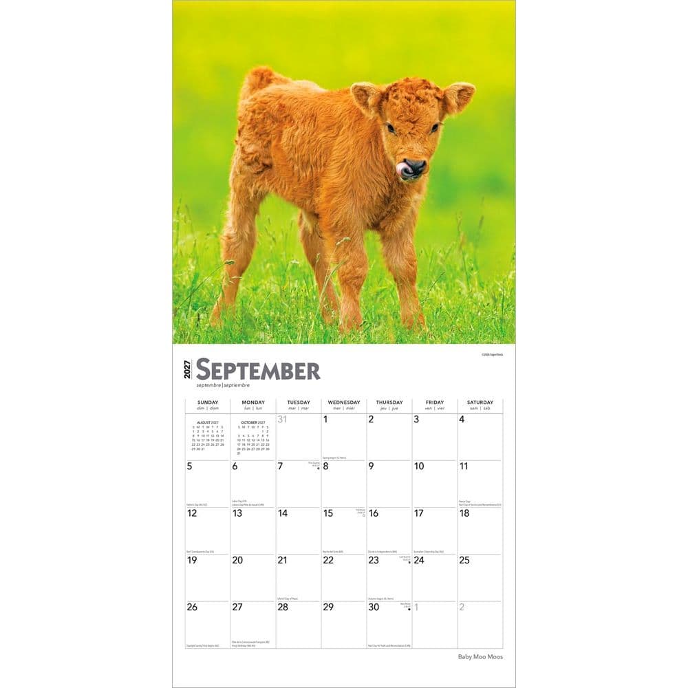 Baby Moo Moos 2027 Wall Calendar Third Alternate Image