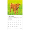 image Baby Moo Moos 2027 Wall Calendar Third Alternate Image