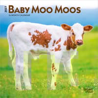 image Baby Moo Moos 2027 Mini Wall Calendar Main Product Image
