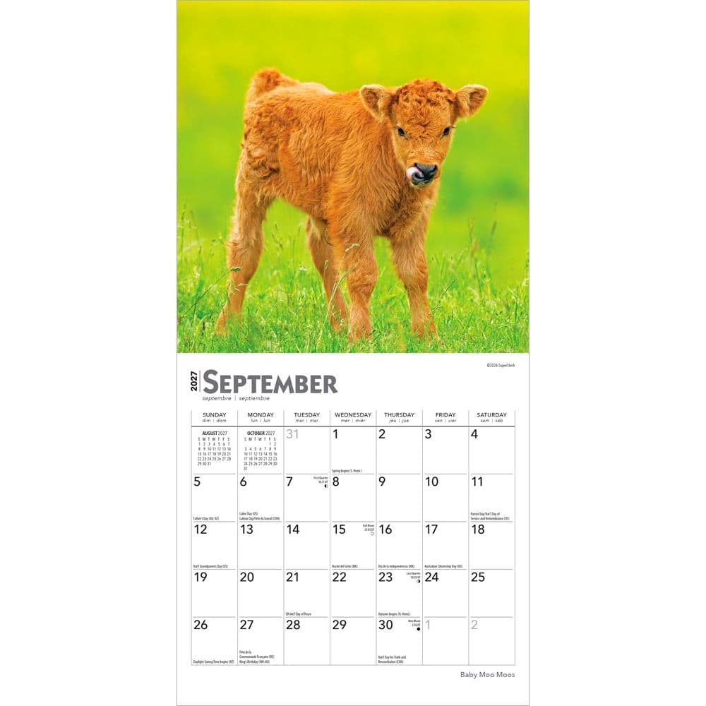 Baby Moo Moos 2027 Mini Wall Calendar Third Alternate Image