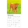 image Baby Moo Moos 2027 Mini Wall Calendar Third Alternate Image