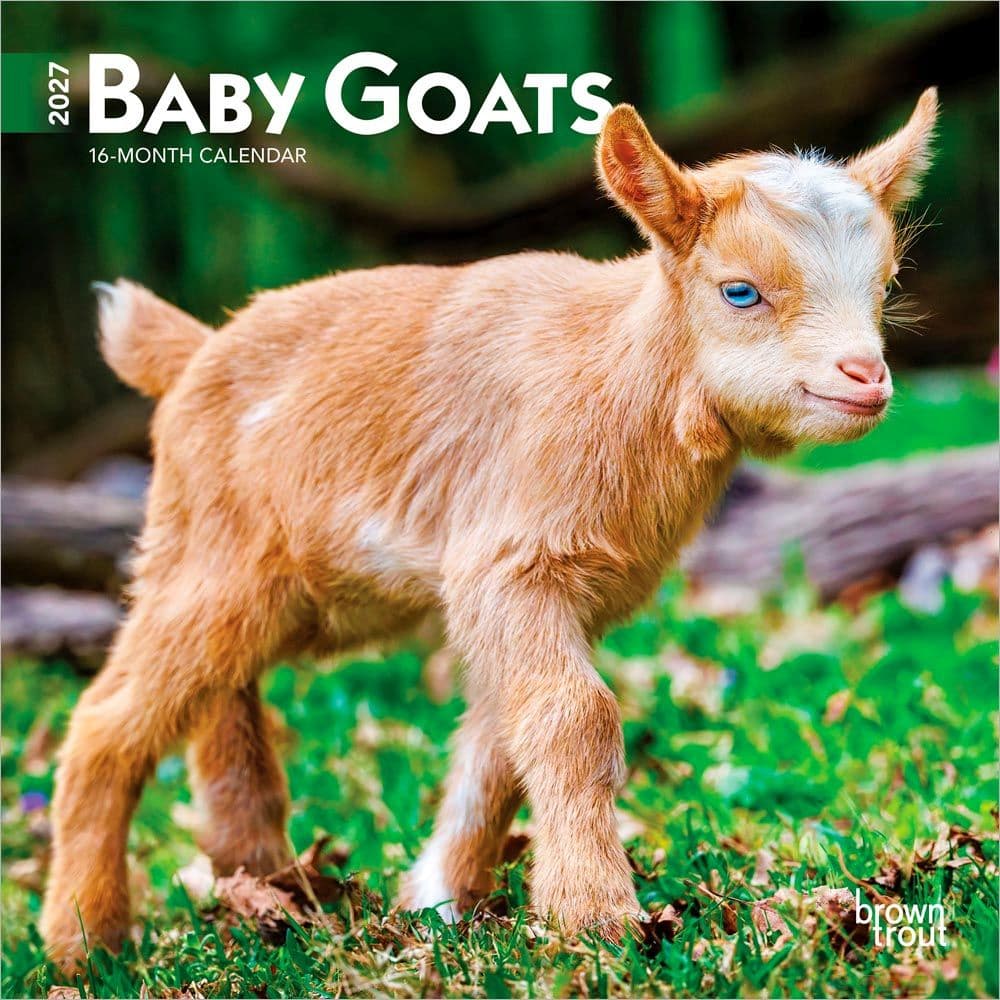 image Baby Goats 2027 Mini Wall Calendar Main Product Image