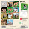 image Baby Goats 2027 Mini Wall Calendar First Alternate Image