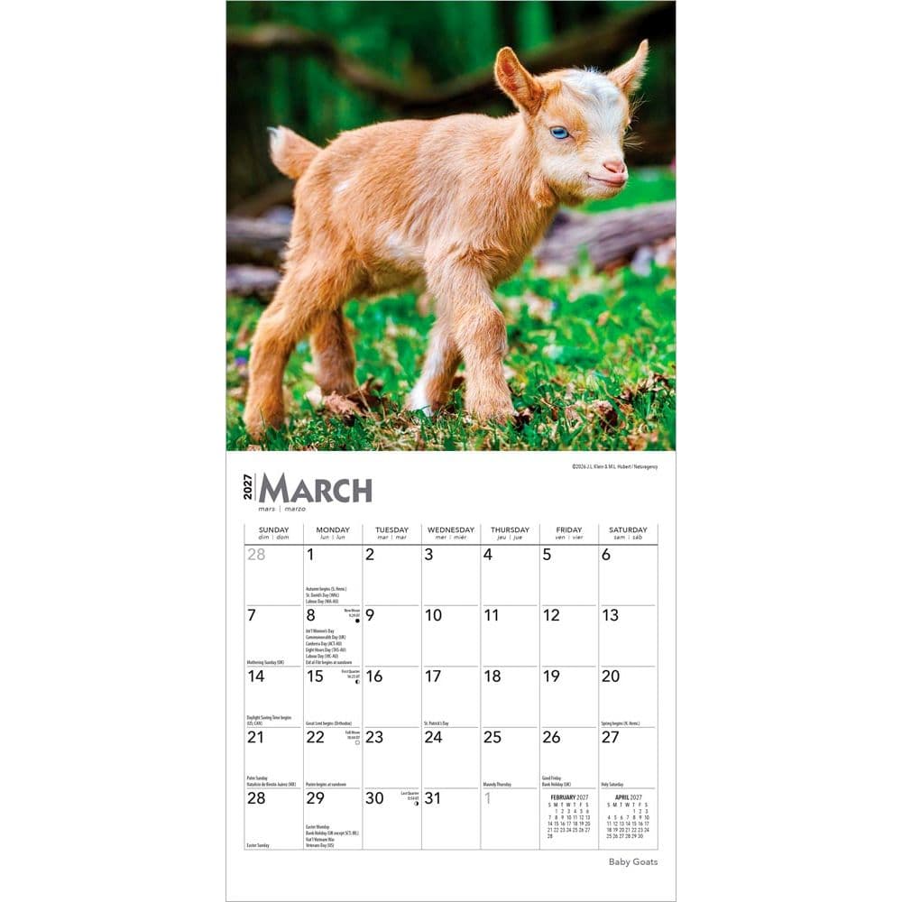 Baby Goats 2027 Mini Wall Calendar Second Alternate Image