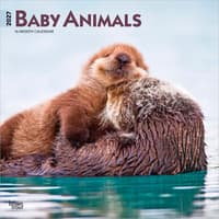 image Baby Animals 2027 Wall Calendar Main Product Image