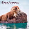 image Baby Animals 2027 Wall Calendar Main Product Image