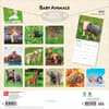 image Baby Animals 2027 Wall Calendar First Alternate Image