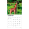 image Baby Animals 2027 Wall Calendar Third Alternate Image