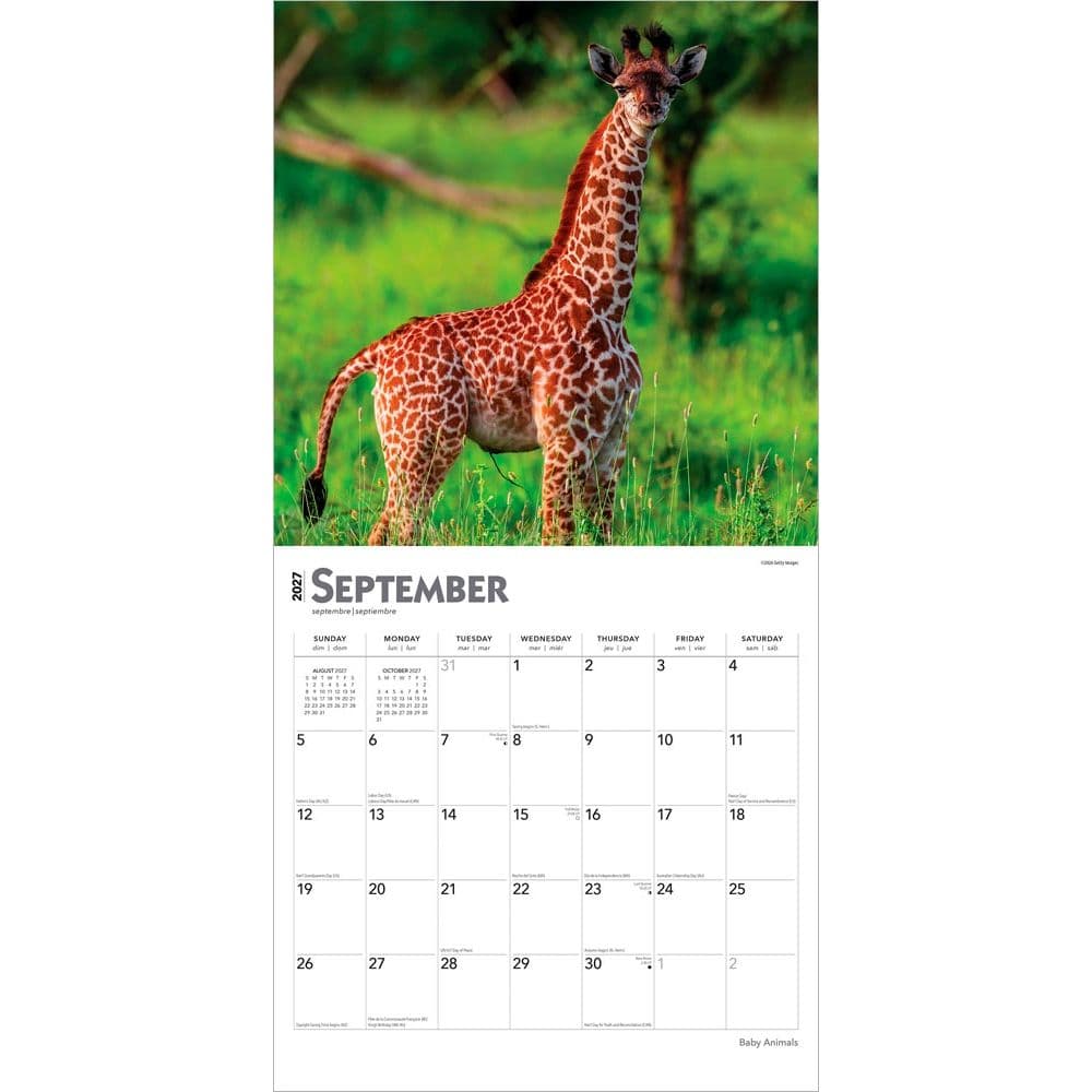 Baby Animals 2027 Wall Calendar Third Alternate Image