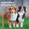 image Australian Shepherds 2027 Wall Calendar Main Product Image