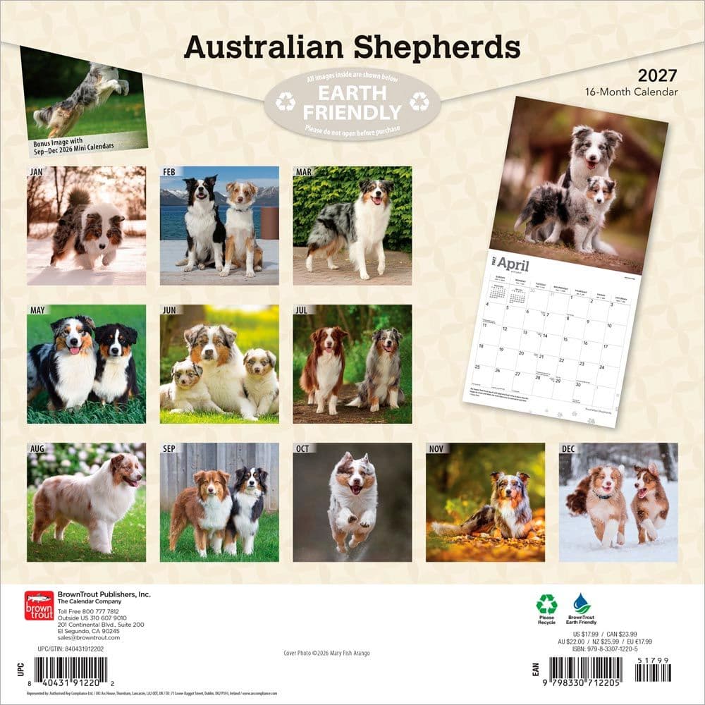 Australian Shepherds 2027 Wall Calendar First Alternate Image