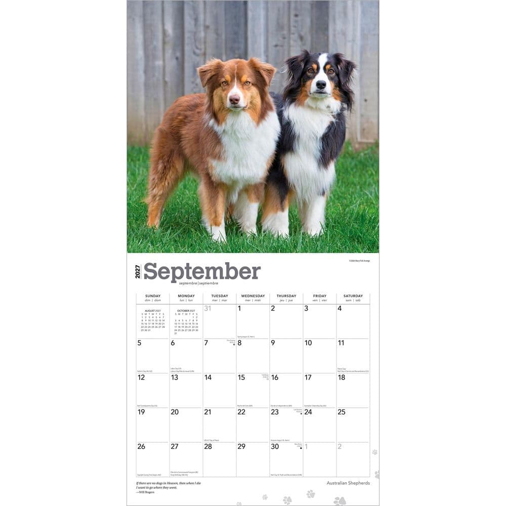 Australian Shepherds 2027 Wall Calendar Third Alternate Image