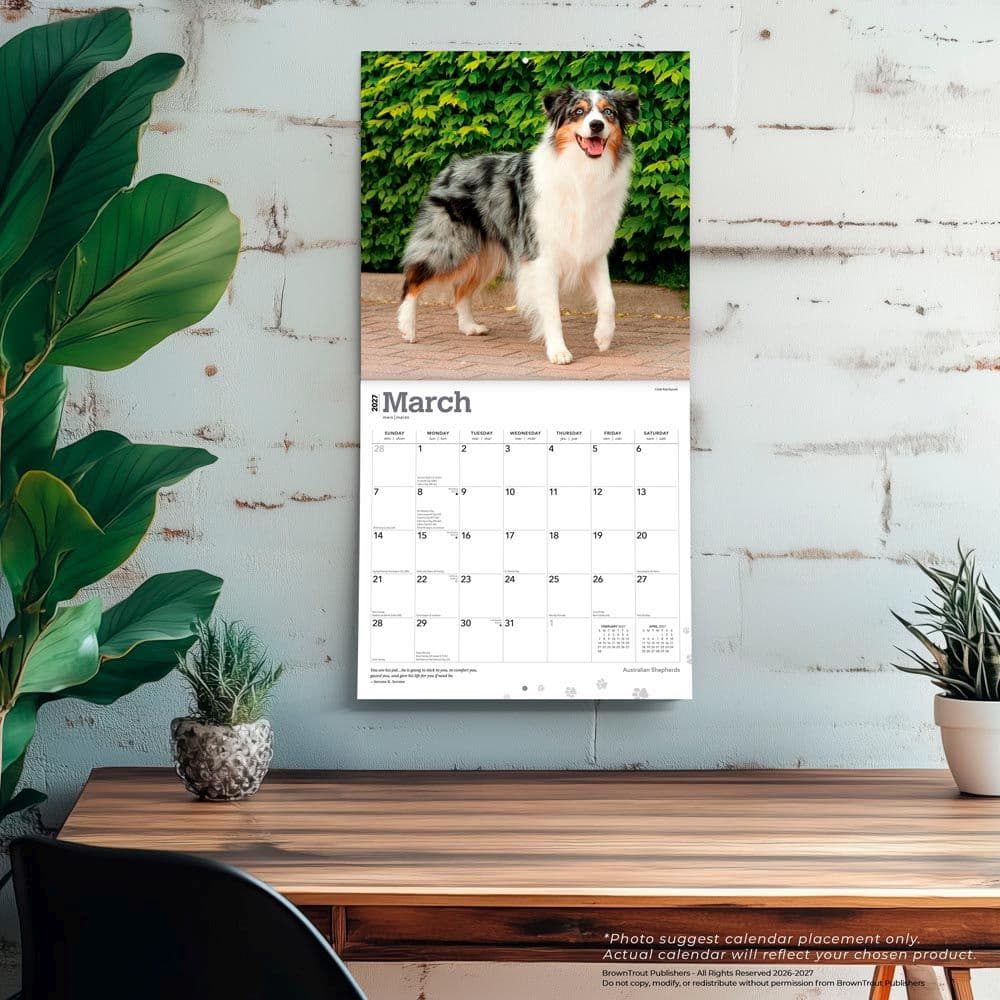 Australian Shepherds 2027 Wall Calendar Fourth Alternate Image