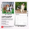 image Australian Shepherds 2027 Wall Calendar Sixth Alternate Image