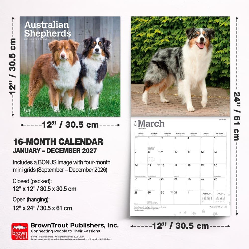 Australian Shepherds 2027 Wall Calendar Sixth Alternate Image
