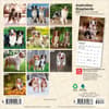 image Australian Shepherd 2027 Mini Wall Calendar First Alternate Image