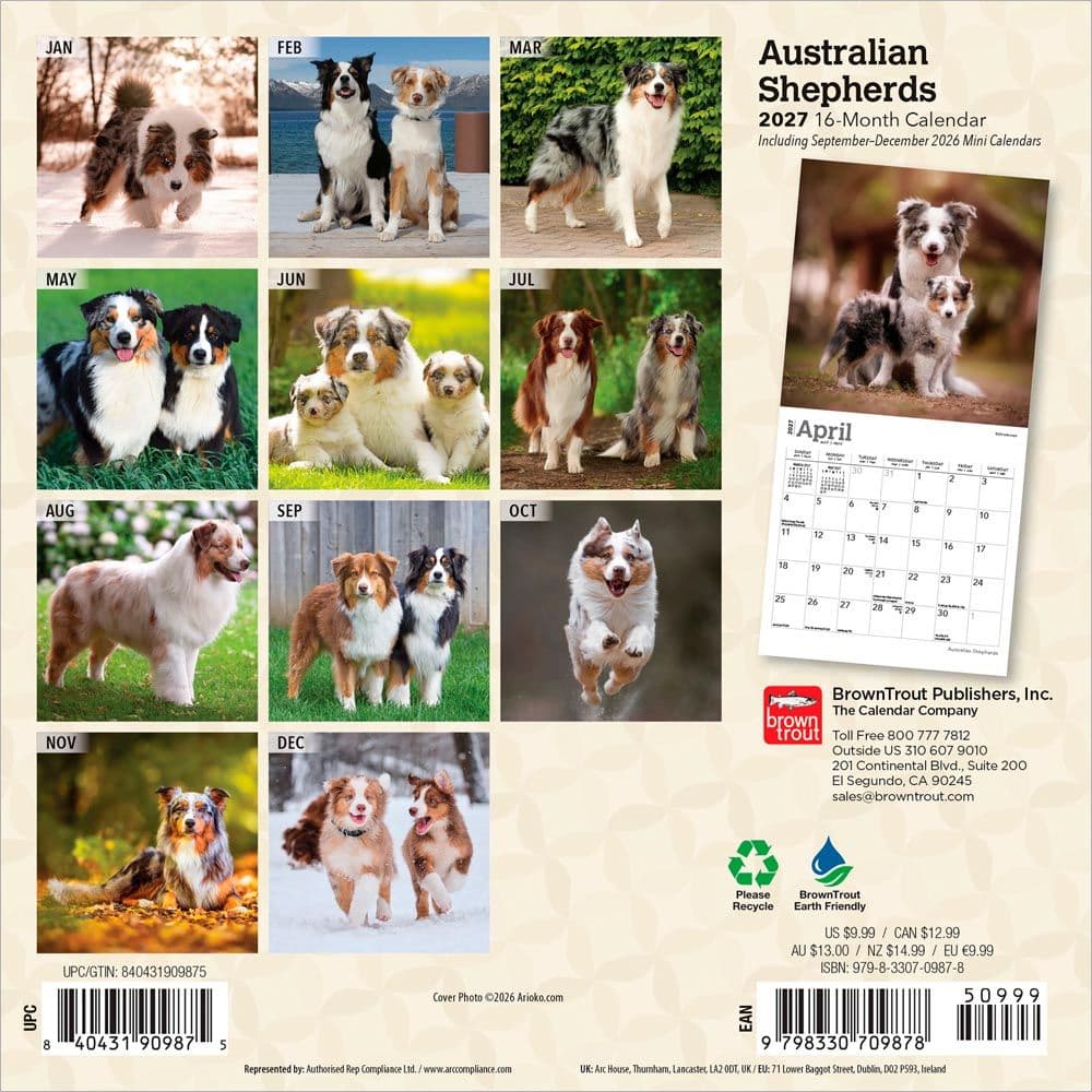 Australian Shepherd 2027 Mini Wall Calendar First Alternate Image