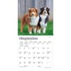image Australian Shepherd 2027 Mini Wall Calendar Third Alternate Image