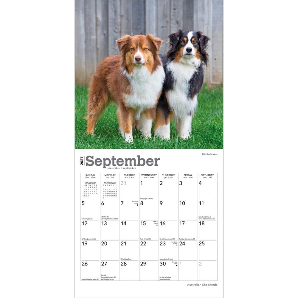 Australian Shepherd 2027 Mini Wall Calendar Third Alternate Image
