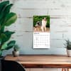 image Australian Shepherd 2027 Mini Wall Calendar Fourth Alternate Image