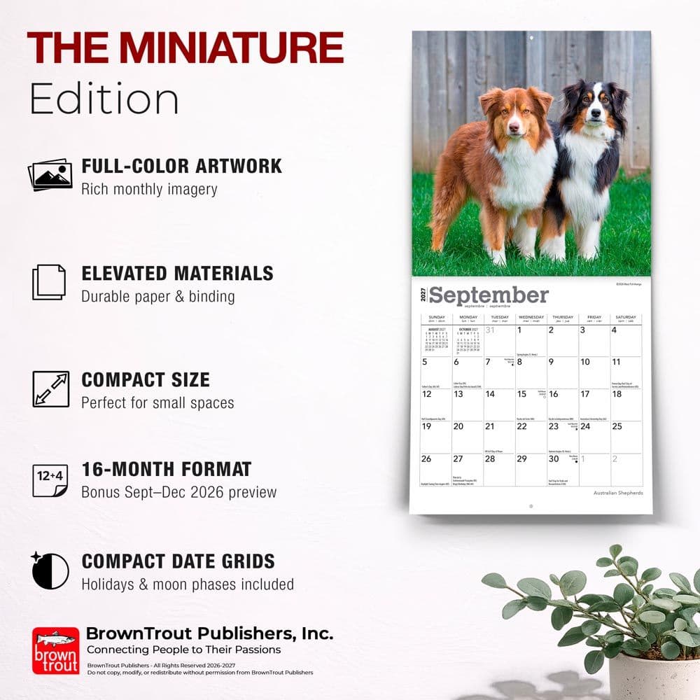 Australian Shepherd 2027 Mini Wall Calendar Fifth Alternate Image