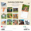 image Australian Cattle Dogs 2027 Wall Calendar First Alternate Image