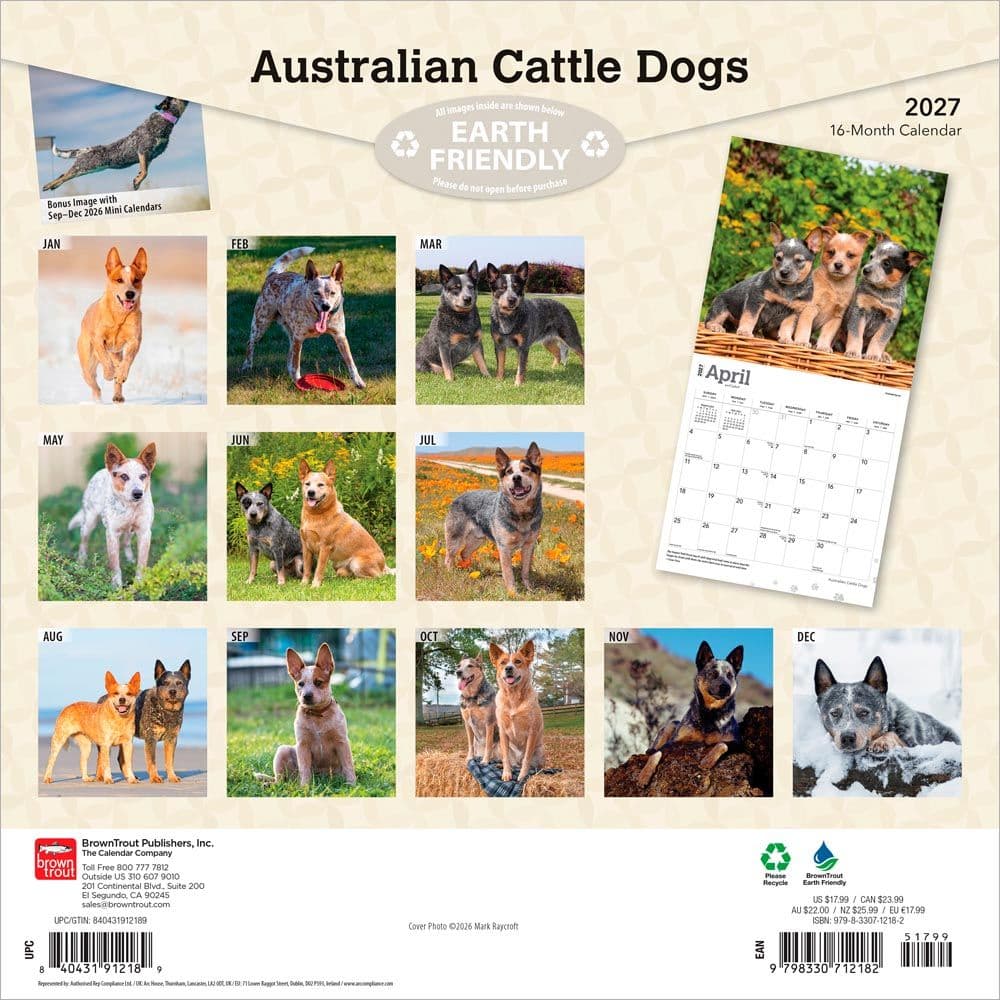 Australian Cattle Dogs 2027 Wall Calendar First Alternate Image