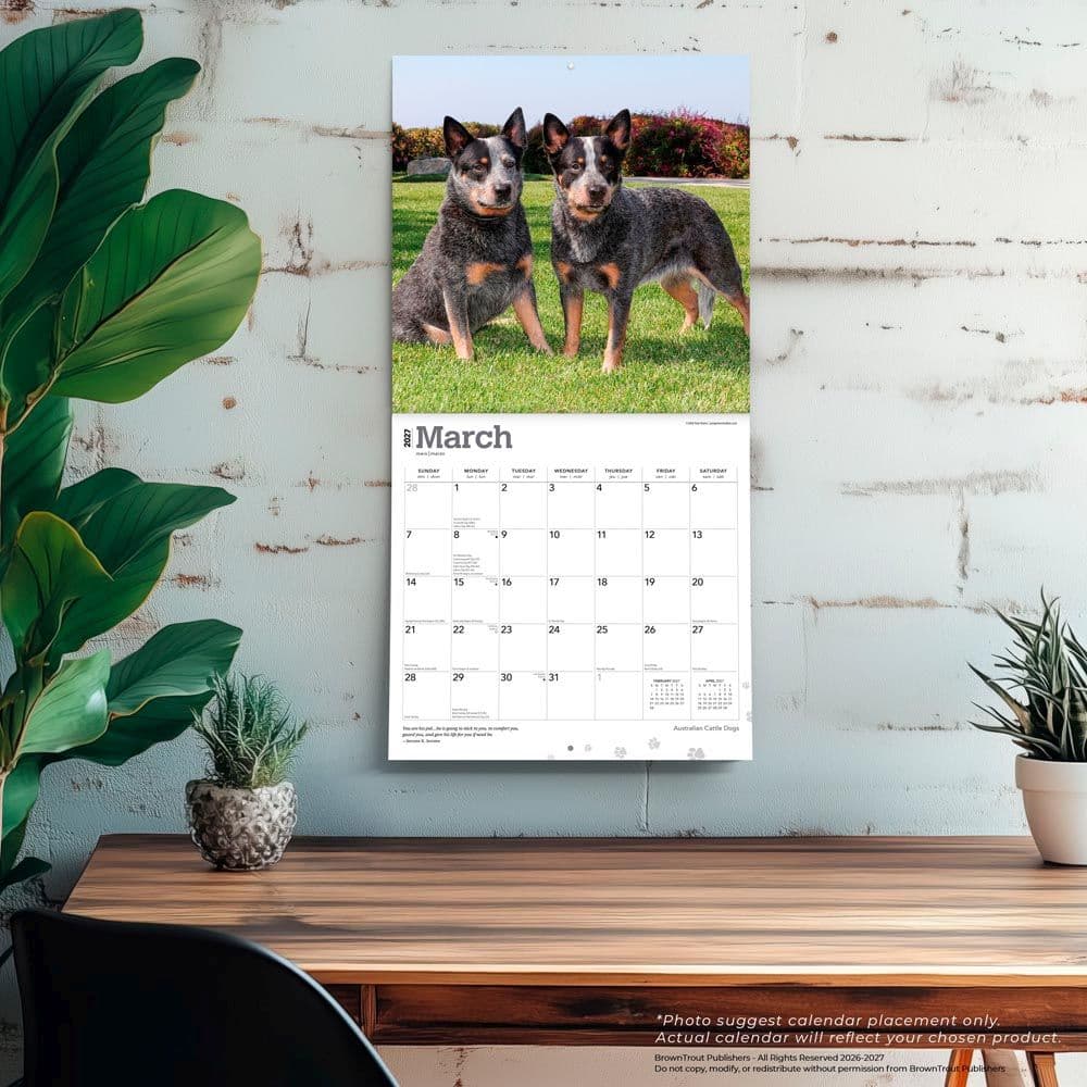 Australian Cattle Dogs 2027 Wall Calendar Fourth Alternate Image