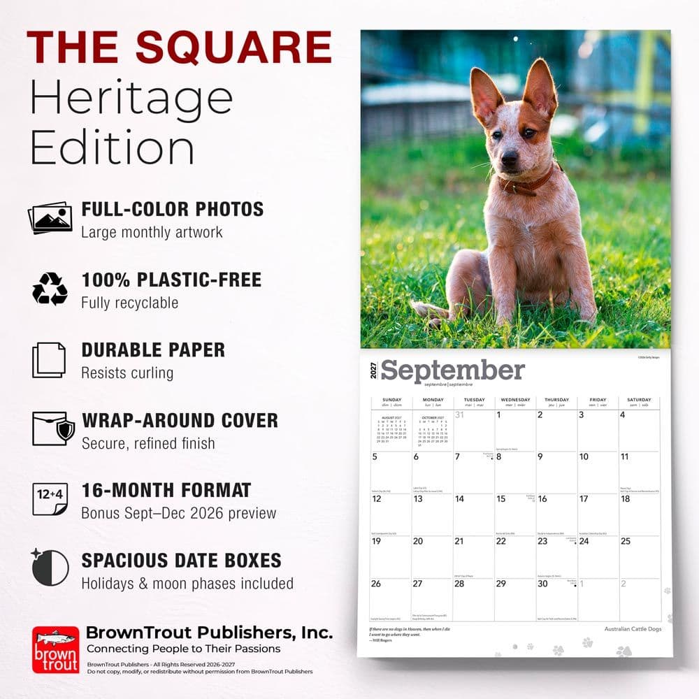 Australian Cattle Dogs 2027 Wall Calendar Fifth Alternate Image