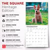 image Australian Cattle Dogs 2027 Wall Calendar Fifth Alternate Image