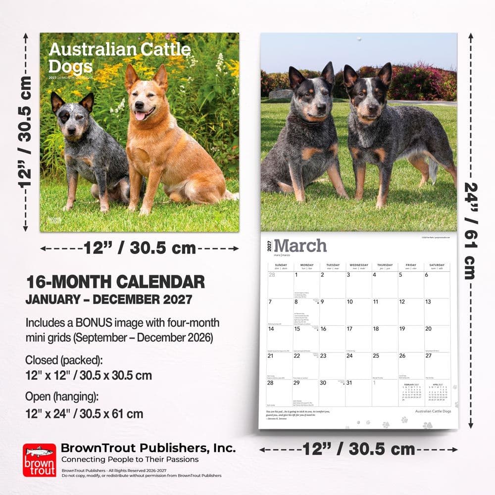 Australian Cattle Dogs 2027 Wall Calendar Sixth Alternate Image