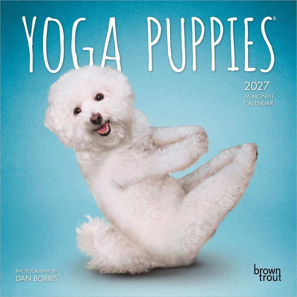 Yoga Puppies 2027 Mini Wall Calendar Main Product Image