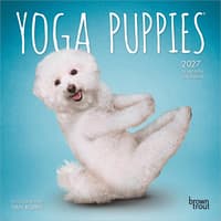 image Yoga Puppies 2027 Mini Wall Calendar Main Product Image